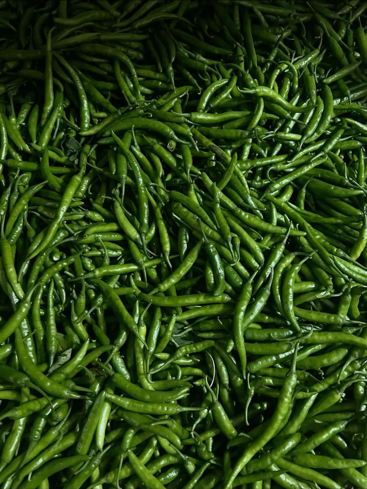 greenchilli