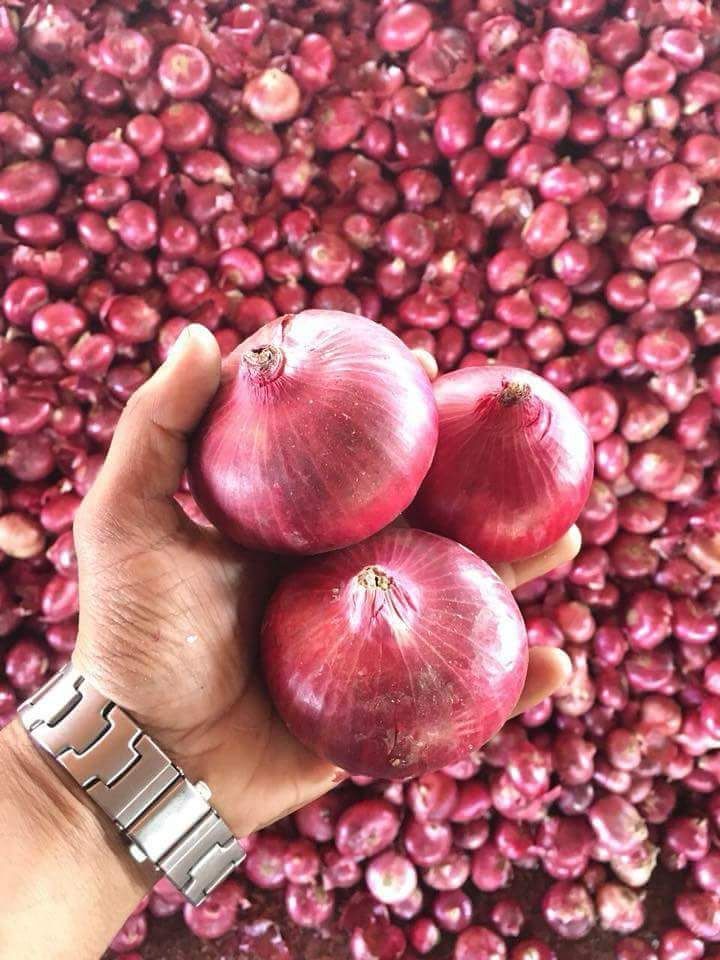 onions